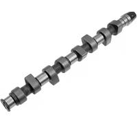 INA 428 0064 10 Albero a camme