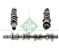 INA 428 0110 10 Albero a camme