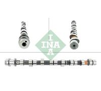 INA 428 0127 10 Albero a camme