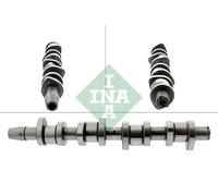 Albero a camme 428 0130 10 INA per AUDI VW