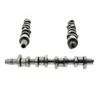 Albero a camme 428 0130 10 INA per VW AUDI