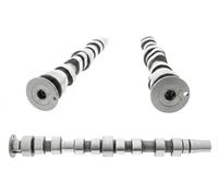 INA Albero a camme 428 0174 10 per VW, SEAT, SKODA, AUDI