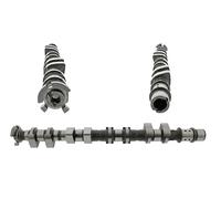 INA 428 0178 10 Albero a camme