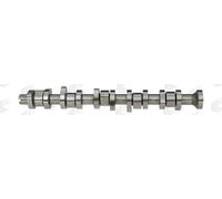 AE CAM916 Albero a camme per VW