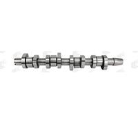 American & Efird Albero a camme AE CAM968 per VW Caddy III, Transporter V, Golf V 2.0 SDI