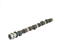 Albero a camme AMC 664841 per HYUNDAI GALLOPER I 2.5 1991-1998