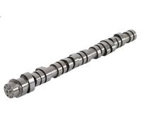 Albero a camme BF 20100411003 per VOLVO FMX II 10.837 2012-