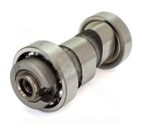 ALBERO A CAMME COMPLETO YAMAHA YBR 125 Custom 4T 2008-2010
