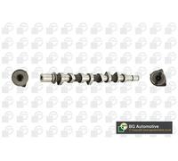 Albero a camme CS2542 BGA per RENAULT NISSAN DACIA