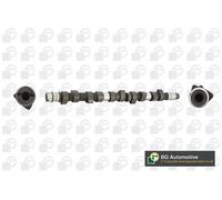 Albero a camme CS3381 BGA per AUDI VW VOLVO