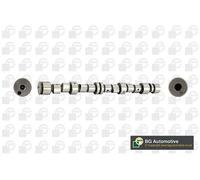 Albero a camme CS9739 BGA per OPEL CORSA B Furgone/hatchback ASTRA G Hatchback