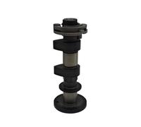 Albero a camme di aspirazione o di scarico compatibile con Shonler Snarler AT6S 570cc AT6S F01A40110003 F01A40230003(EXHAUST CAMSHAFT)
