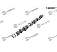 Albero a camme DRM02877 Dr.Motor Automotive