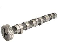 Albero a camme ENGITECH ENT081003 per AUDI A4 B5 (8D2) 2.5 1997-2000