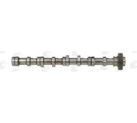 Albero a camme AE CAM961