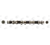 Albero a camme AE CAM917