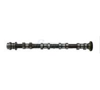 Albero a camme FRECCIA CM05-2402 per FORD FOCUS III 1.6 2010-2014