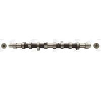 Albero a camme Ghisa CAM373 AE per CITROËN PEUGEOT SUZUKI FSO FIAT MITSUBISHI