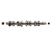 Albero a camme Ghisa grigia T2614 MOTIVE per FORD VW