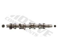 Albero a camme Ghisa grigia T2614 MOTIVE per FORD VW