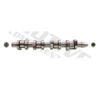 Albero a camme Ghisa grigia T2616 MOTIVE per VW AUDI SEAT SKODA