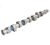 Albero a camme INA 428 0062 10 per AUDI A3 (8L1) 1.9 1997-2001