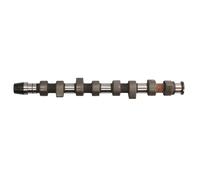 INA 428 0063 10 Albero a camme