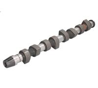 Albero a camme INA 428 0063 10 per AUDI A4 B5 (8D2) 1.9 1996-2