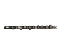 INA 428 0065 10 Albero a camme