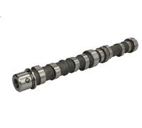 Albero a camme INA 428 0102 10 per FIAT PUNTO (188_) 1.3 2003-2012