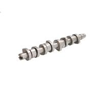 Albero a camme INA 428 0110 10 per VW BORA I (1J2) 1.9 2000-2005