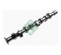 INA 428 0162 10 Albero a camme