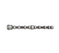 Kolbenschmidt Albero a camme 50007048 - Lato aspirazione per Fiat Peugeot Iveco
