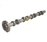 Albero a camme KOLBENSCHMIDT 50007687 per DEFENDER Cabrio (L316) 2.2 2011-2016
