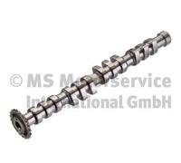 ALBERO A CAMME KOLBENSCHMIDT PER VW AUDI SEAT SKODA 50006307