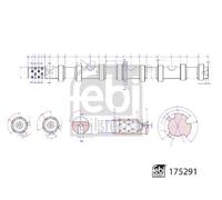 Albero a camme Lato aspirazione 175291 FEBI BILSTEIN per AUDI VW SEAT SKODA
