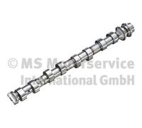 Kolbenschmidt Albero a Camme BMW 2,0 7588117 11317616469 11317588117 7616469