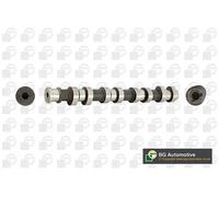 Albero a camme Lato aspirazione CS1453 BGA per OPEL AGILA CORSA C TIGRA TwinTop