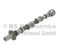 Kolbenschmidt Albero a camme 50007706 Lato scarico per Peugeot 2,0 DW10CE/DW10CD