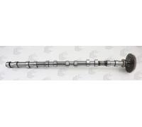 Albero a camme Lato scarico Acciaio CAM1017 AE per BMW 3 Touring 5 3 X5 X3 X6 7