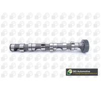 Albero a camme Lato scarico CS1523 BGA per AUDI SKODA