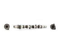 Albero a camme Lato scarico CS2542 BGA per RENAULT NISSAN DACIA