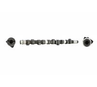 Albero a camme Lato scarico CS3381 BGA per AUDI VW VOLVO