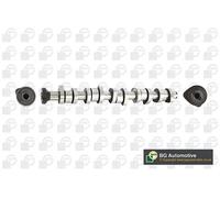 Albero a camme Lato scarico CS9650 BGA per VW TOUAREG MULTIVAN T5