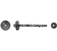 Albero a camme AE CAM974