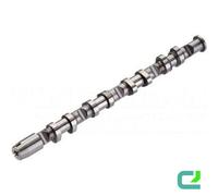 KOLBENSCHMIDT Albero a camme per VW 50007587