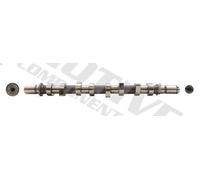 Albero a camme MOTIVE T1008 per DACIA LOGAN (LS_) 1.5 2007-2011