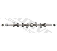 Albero a camme MOTIVE T1016 per RENAULT MEGANE I (BA0/1_) 1.9 1997-2001