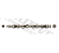 Albero a camme MOTIVE T2610 per SEAT LEON (1M1) 1.9 1999-2006