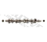 Albero a camme MOTIVE T2616 per AUDI A3 (8P1) 2 2006-2008